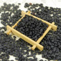 2017 New crops Small Black Beans